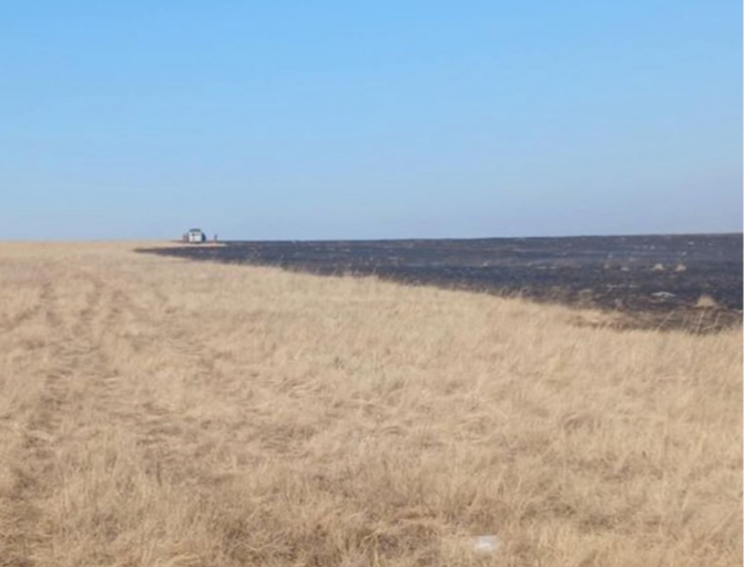 Дорнод аймгийн Дашбалбар суманд гарсан хээрийн гал түймрийг цурамд оруулжээ